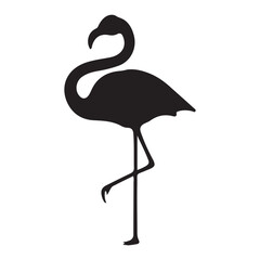 Vector illustration of flamingo in outline style is isolated on white background. Black silhouette of tropical bird flamingo standing on one leg .Cranes, Egrets, and Flamingoes