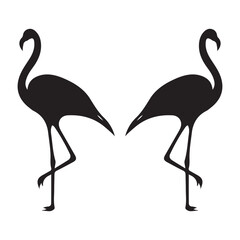 Vector illustration of flamingo in outline style is isolated on white background. Black silhouette of tropical bird flamingo standing on one leg .Cranes, Egrets, and Flamingoes