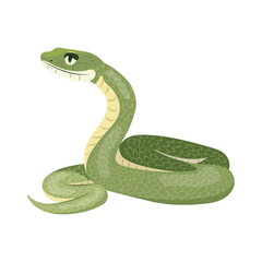 Cartoon tropical snake. Vector illustration exotic green serpent isolated on white background. Symbol of the year design element.