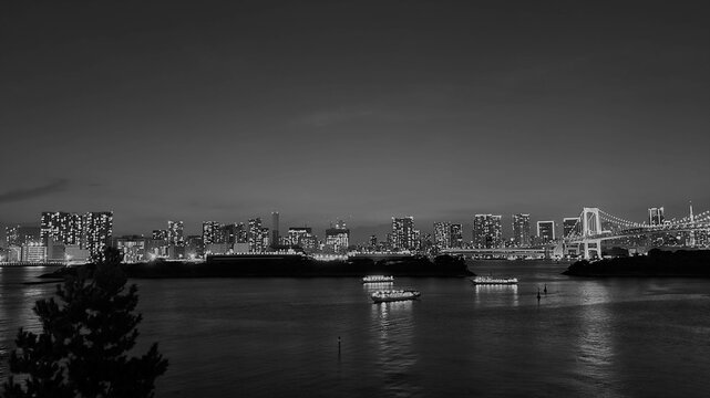 Fototapeta city skyline at night black and white