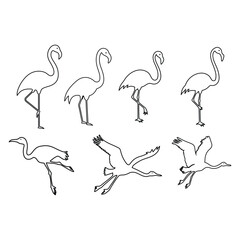 Set of silhouettes of flamingo birds ,Flamingo silhouettes set, large pack of vector silhouette design, isolated white background