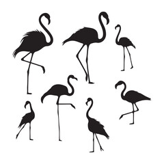 Set of silhouettes of flamingo birds ,Flamingo silhouettes set, large pack of vector silhouette design, isolated white background