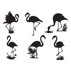 Set of silhouettes of flamingo birds ,Flamingo silhouettes set, large pack of vector silhouette design, isolated white background