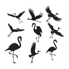 Set of silhouettes of flamingo birds ,Flamingo silhouettes set, large pack of vector silhouette design, isolated white background