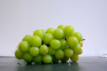 샤인머스켓 망고포도 청포도