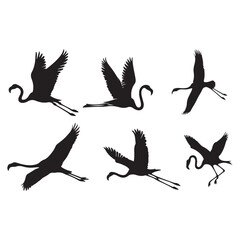 Set of silhouettes of flamingo birds ,Flamingo silhouettes set, large pack of vector silhouette design, isolated white background