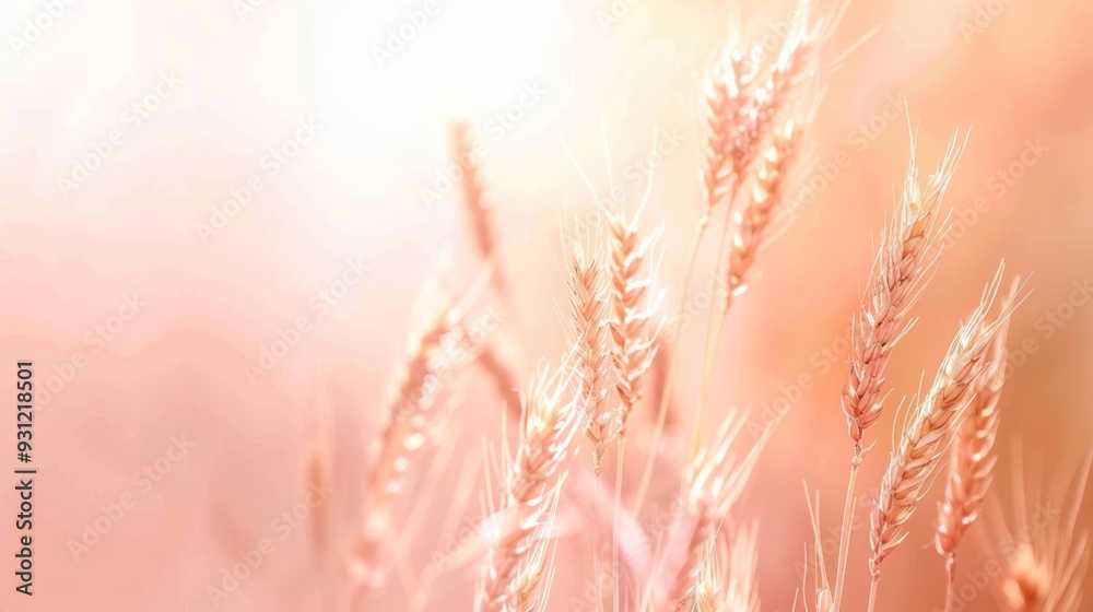 Fototapete a modern and colorful horizontal header design featuring tan, taupe and wheat. graphic with space fo