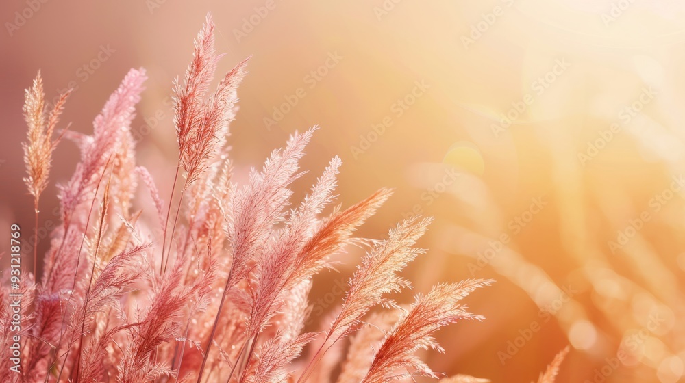 Fototapete a modern and colorful horizontal header design featuring tan, taupe and wheat. graphic with space fo
