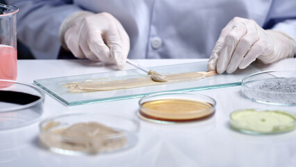 Close up scene of yellow hair sample is being applied with a layer of white cream for testing. Scene of testing with conditioner, products to care for and restore damaged hair. Advertising photo