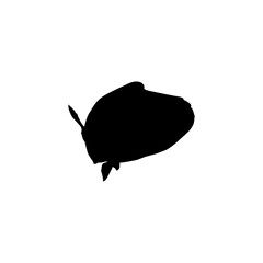 Silhouette of the The Humphead wrasse (Cheilinus undulatus), also known as the Māori wrasse, Napoleon wrasse, Napoleon fish. Flat Style, can use for Logo Gram, Animal Illustration, Pictogram, ect