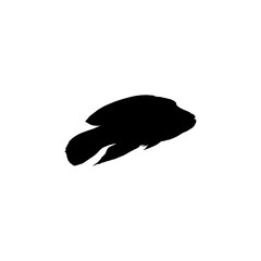 Silhouette of the The Humphead wrasse (Cheilinus undulatus), also known as the Māori wrasse, Napoleon wrasse, Napoleon fish. Flat Style, can use for Logo Gram, Animal Illustration, Pictogram, ect