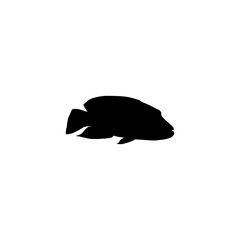 Silhouette of the The Humphead wrasse (Cheilinus undulatus), also known as the Māori wrasse, Napoleon wrasse, Napoleon fish. Flat Style, can use for Logo Gram, Animal Illustration, Pictogram, ect