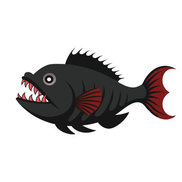 black piranha fish with red fins clip art preview