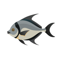 Atlantic Spadefish Under water animal flat vector illustration.