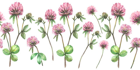Clover flower twig with leaves and bud. Seamless border. Watercolor isolated illustration. Hand drawn pink field wildflowers for spring floral und botanical fabric, wallpaper Blooming meadow pattern 