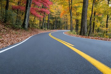 Fototapeta premium autumn landscape with trees in vibrant colors and the asphalt road winding through it
