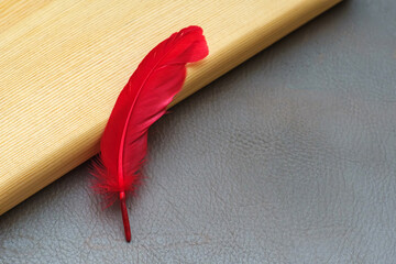 Lifestyle photo with a concept of comfort and luxury. Wood and red feather on genuine leather....