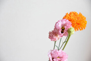 マリーゴールドとトルコ桔梗