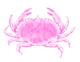 Watercolor Crab