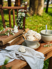 Homemade ice cream scoops in bowl on outdoor green background.