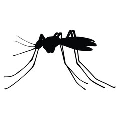 Insects, Ant, Cockroach, mosquito, Icon, Icon set, Insects Icon Set, Insects Icon Set