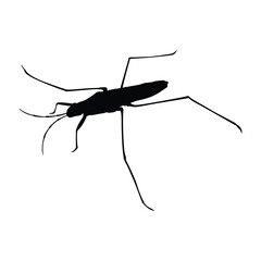 Insects, Ant, Cockroach, mosquito, Icon, Icon set, Insects Icon Set, Insects Icon Set