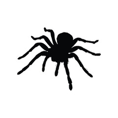 Insects, Ant, Cockroach, mosquito, Icon, Icon set, Insects Icon Set, Insects Icon Set