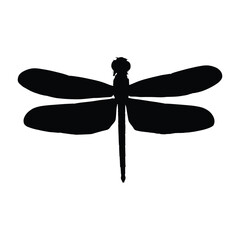 Insects, Ant, Cockroach, mosquito, Icon, Icon set, Insects Icon Set, Insects Icon Set