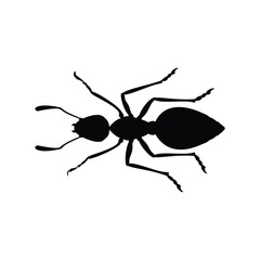 Insects, Ant, Cockroach, mosquito, Icon, Icon set, Insects Icon Set, Insects Icon Set