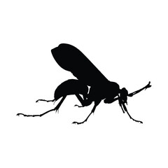 Insects, Ant, Cockroach, mosquito, Icon, Icon set, Insects Icon Set, Insects Icon Set