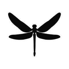 Insects, Ant, Cockroach, mosquito, Icon, Icon set, Insects Icon Set, Insects Icon Set