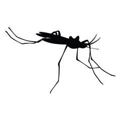 Insects, Ant, Cockroach, mosquito, Icon, Icon set, Insects Icon Set, Insects Icon Set