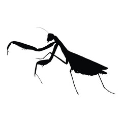 Insects, Ant, Cockroach, mosquito, Icon, Icon set, Insects Icon Set, Insects Icon Set