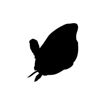 recommend clip art: Silhouette of the The Humphead wrasse (Cheilinus undulatus), also known as the Māori wrasse, Napoleon wrasse, Napoleon fish. Flat Style, can use for Logo Gram, Animal Illustration, Pictogram, ect