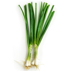 Green spring onion on the white background