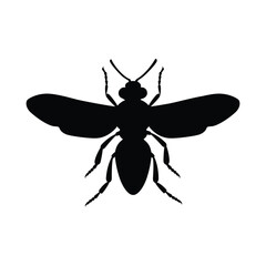 Insects, Ant, Cockroach, mosquito, Icon, Icon set, Insects Icon Set, Insects Icon Set