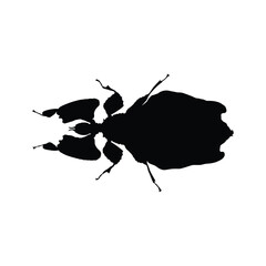 Insects, Ant, Cockroach, mosquito, Icon, Icon set, Insects Icon Set, Insects Icon Set