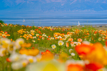 Sailimu lake, or Sayram lake, an endorheic freshwater lake in the northern Tianshan Mountains, Bortala Mongol Autonomous Prefecture, Xinjiang Uyghur Autonomous Region, China