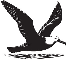 Beautiful albatross bird Silhouette isolated on white background Minimalist albatross vector shape