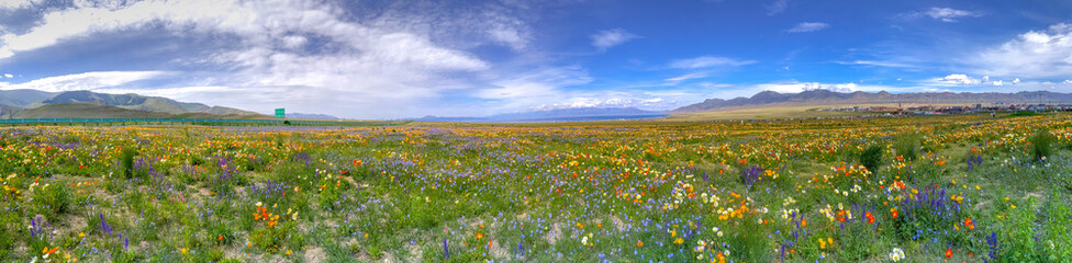Sailimu lake, or Sayram lake, an endorheic freshwater lake in the northern Tianshan Mountains, Bortala Mongol Autonomous Prefecture, Xinjiang Uyghur Autonomous Region, China