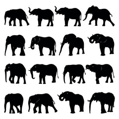 Set of Elephant Silhouettes. Silhouette of elephants. Elephant shadow hand drawn. Animal Elephant Silhouettes vector illustration