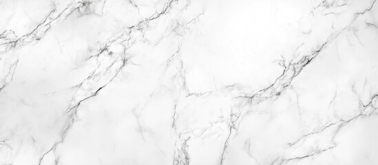 Fototapeta premium White Marble Texture with Intricate Veins