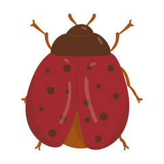 Ladybug Autumn Illustration