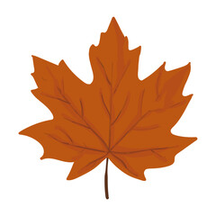 Leaf Autumn Illustration
