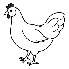 Fototapeta premiumChicken vector illustration. 