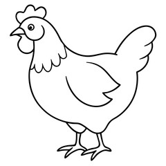 Fototapeta premiumChicken vector illustration. 