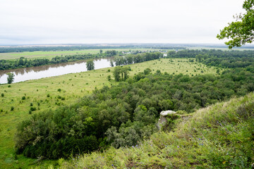 A beautiful river effortlessly flows through a lush, green field, which is surrounded by tall trees that provide ample shade and create a natural habitat for various wildlife species