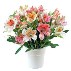 Fototapeta premium Pink and white flowers bouquet in a vase isolated on transparent background, perfect for floral designs, romantic themes, and nature-inspired visuals