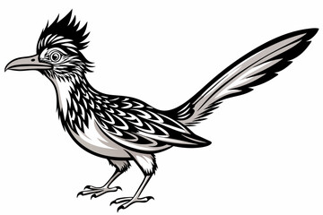 roadrunner silhouette vector illustration