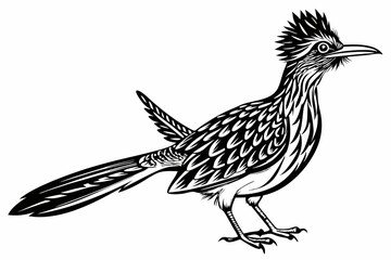 roadrunner silhouette vector illustration